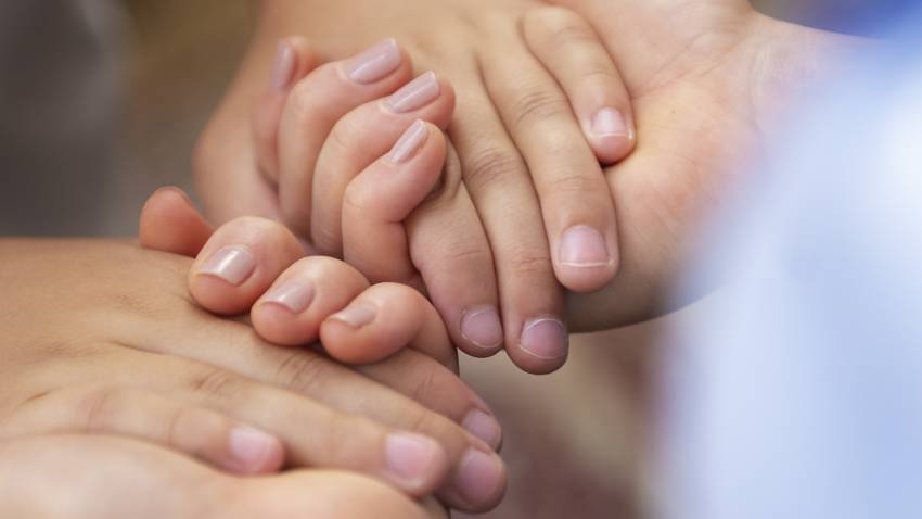 Social Services